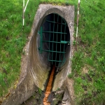 Septic Tanks System in Aston 5