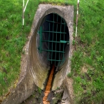 Sewage Tank Disposal  2