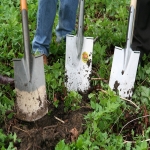 Septic System Maintenance in The Green 3